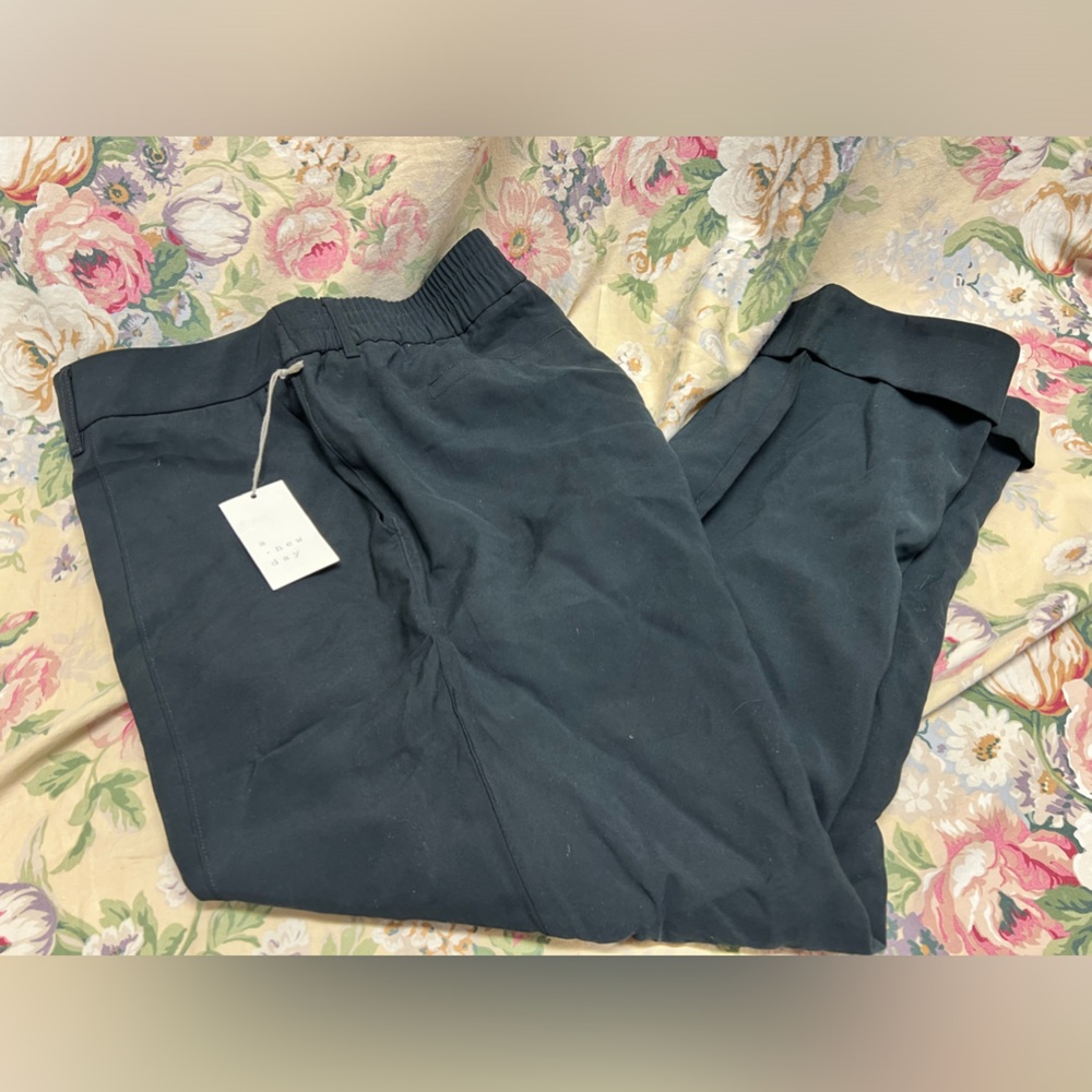 Dress pants